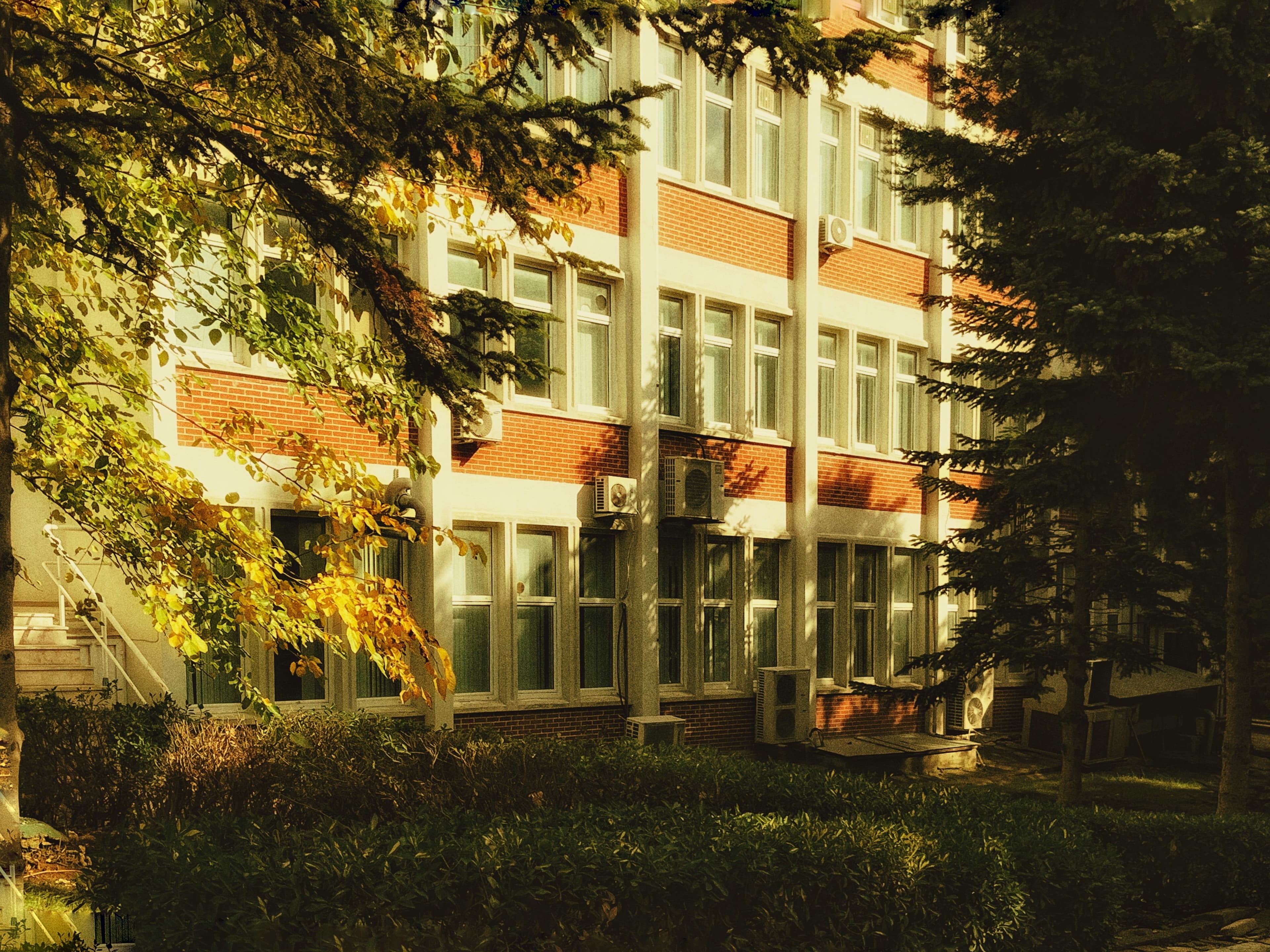 Brick apartment building surrounded by trees