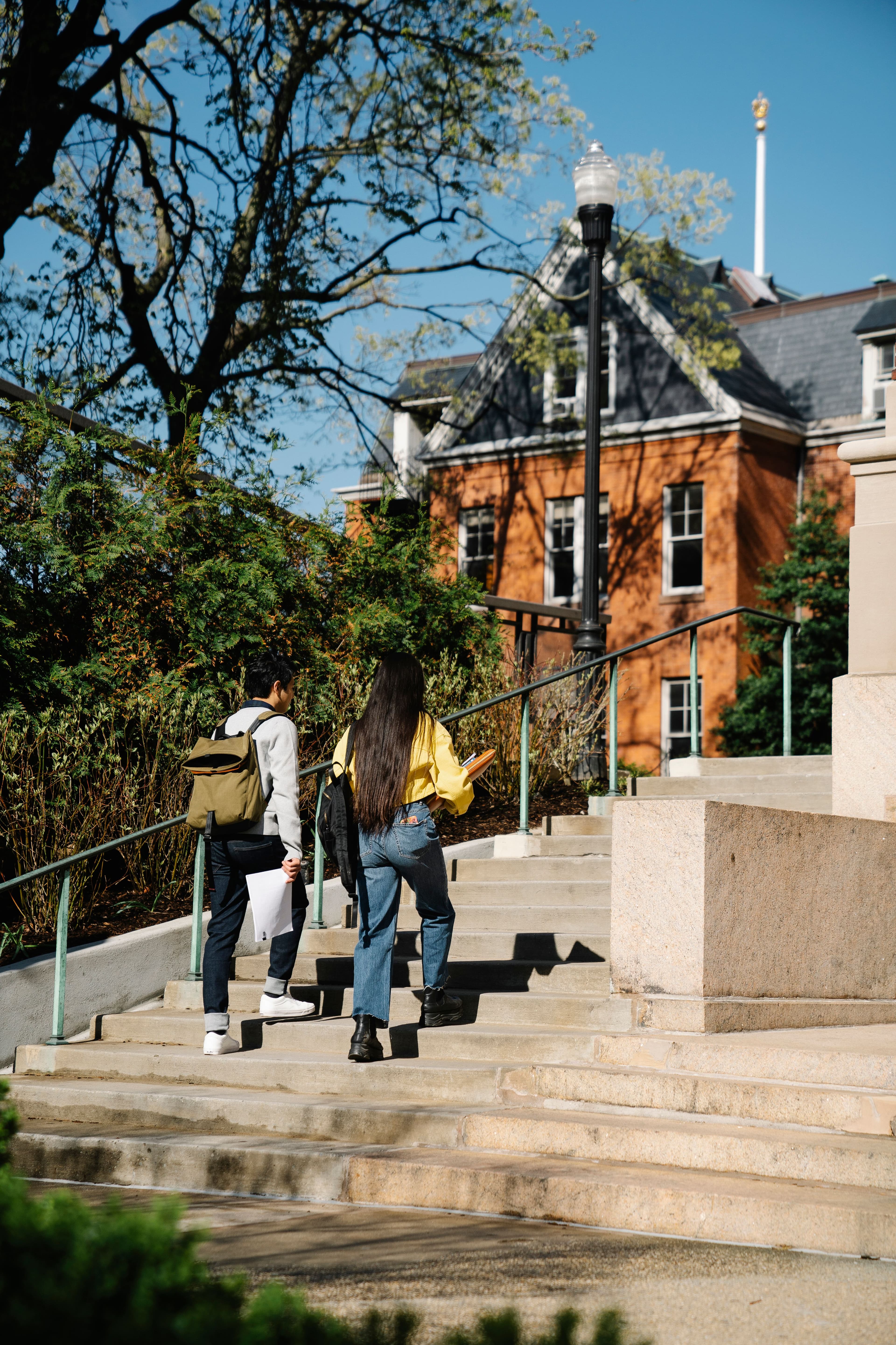 Tree-lined campus path with a fountain courtyard